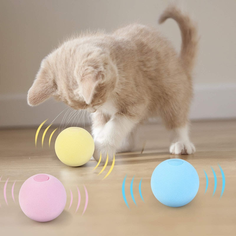 nteraktiver Katzenball mit Catnip – Intelligenzspielzeug für Katzen & Kitten