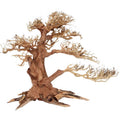 Amtra Holz Oriental WIND 4 MD – Naturdekoration für Aquarien