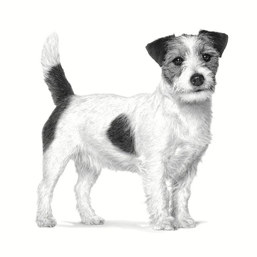 Royal Canin Futter Royal Canin Gastrointestinal Low Fat Small Vhn Erwachsener Fleisch Vögel 3,5 G 1,5 Kg