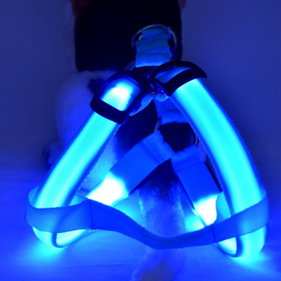 LED Leuchtgeschirr für Hunde – Sichtbar bei Nacht, für mittlere & grosse Hunde