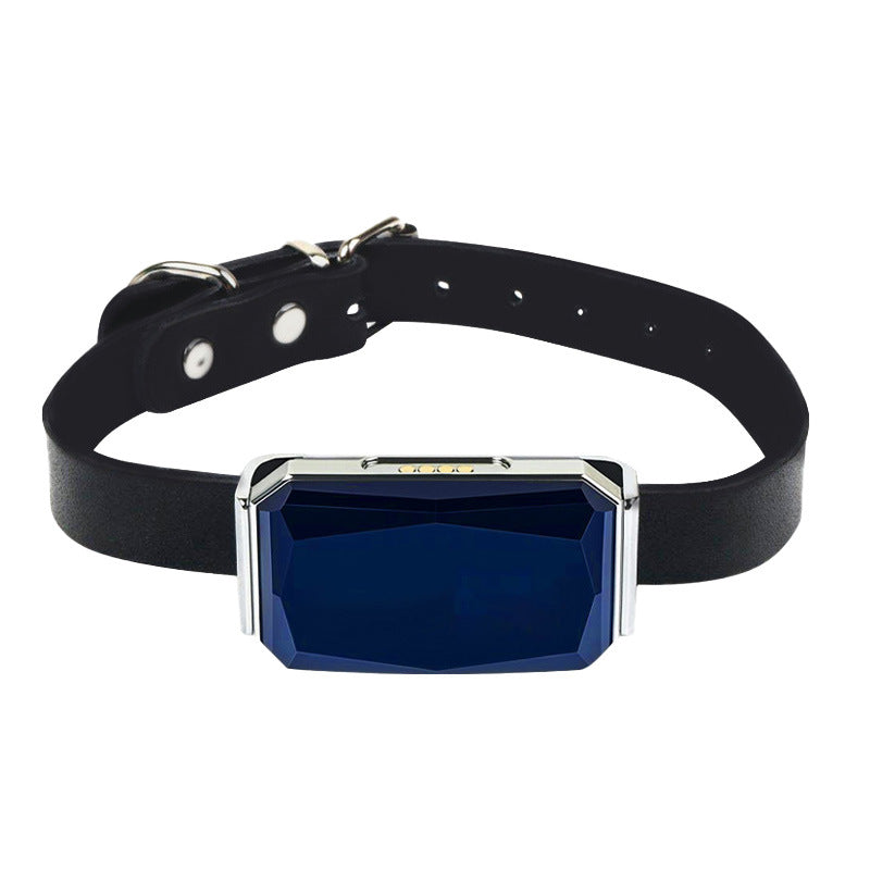 G12 Smart GPS Tracker für Haustiere – Mini, Wasserdicht, Anti-Verlust