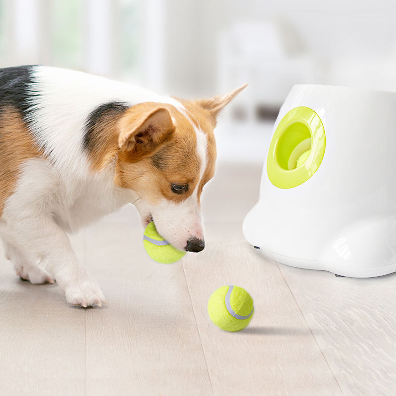 Automatischer Ballwerfer für Hunde – Leicht & Kompakt