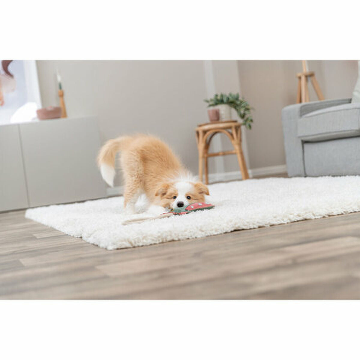 Trixie Kuscheltier Für Hunde Trixie
