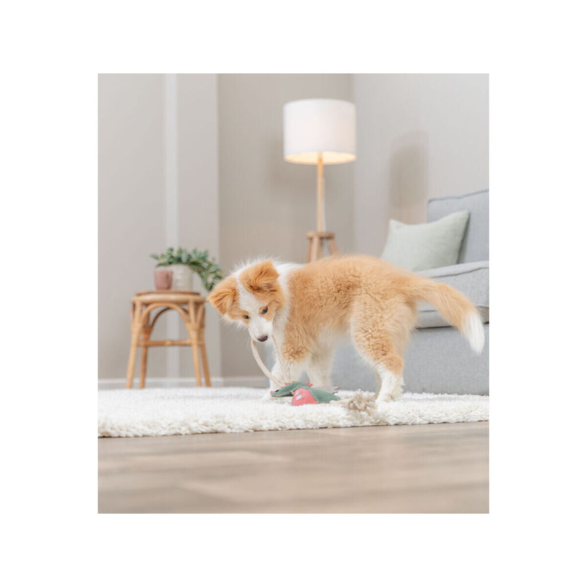 Trixie Kuscheltier Für Hunde Trixie