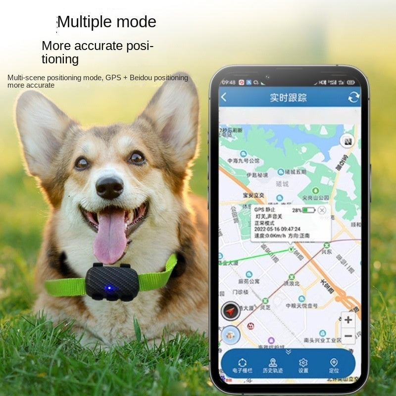 4G GPS Tracker für Hunde & Katzen – Wasserdicht, Magnetisches Laden