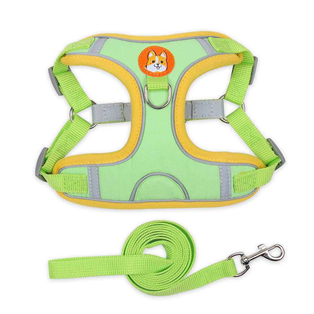 Hundegeschirr mit Leine – Wildleder, Reflektierend, S–XL