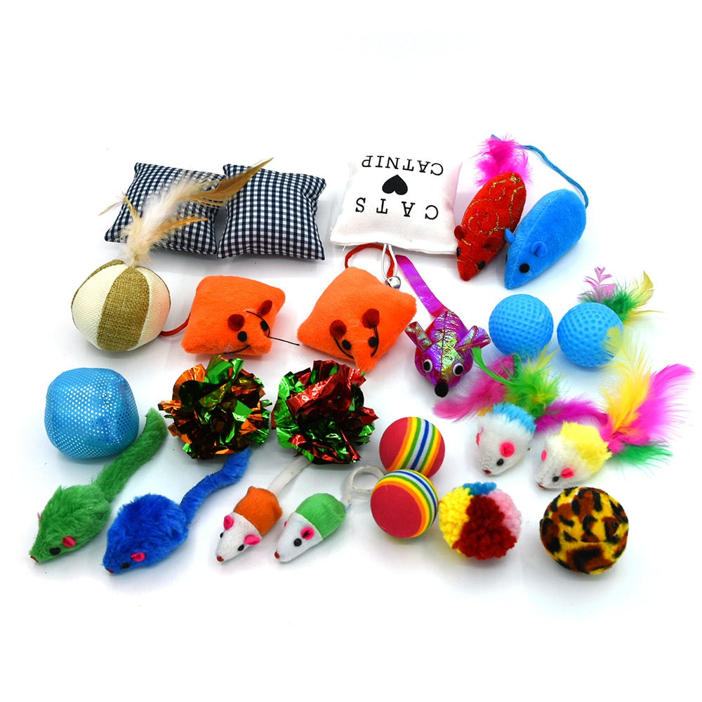Katzenspielzeug-Set 24-teilig – Catnip, Regenbogenball & bunte Mäuse