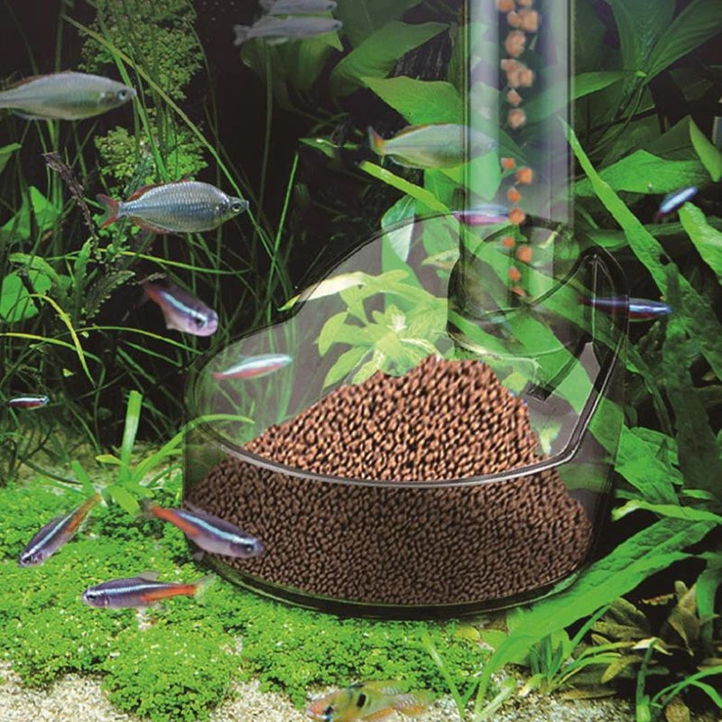 Aquarium Futternapf Acryl – Transparent, für Garnelen, Schnecken & Fische