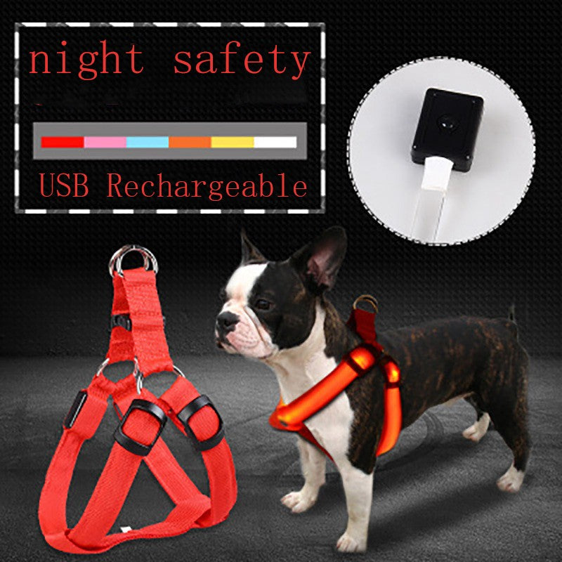 LED Leuchtgeschirr für Hunde – Sichtbar bei Nacht, für mittlere & grosse Hunde