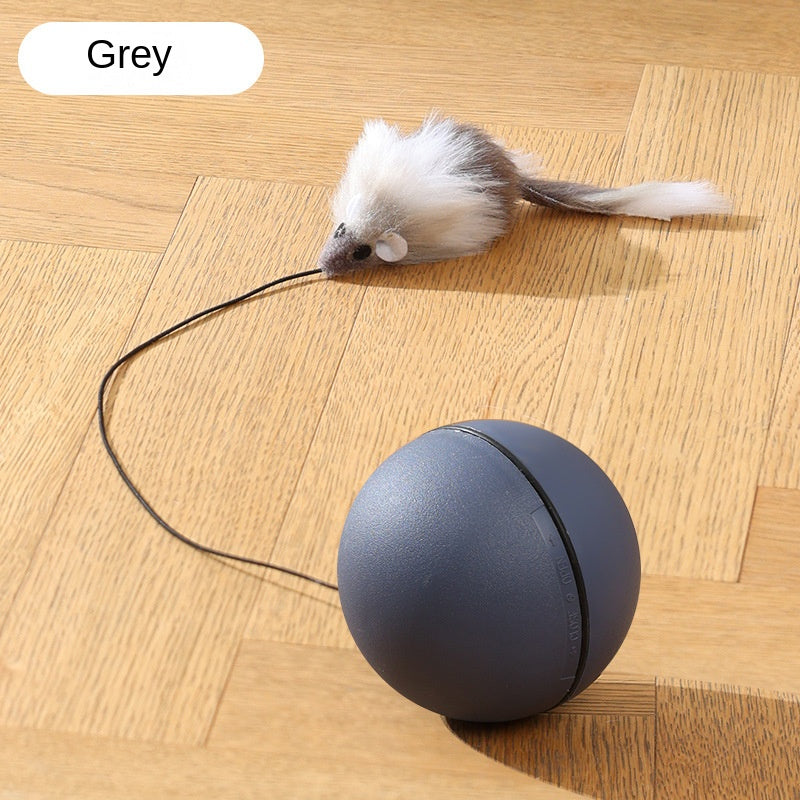 Elektrischer Katzenball – Selbstbeschäftigung, Automatisch & Interaktiv
