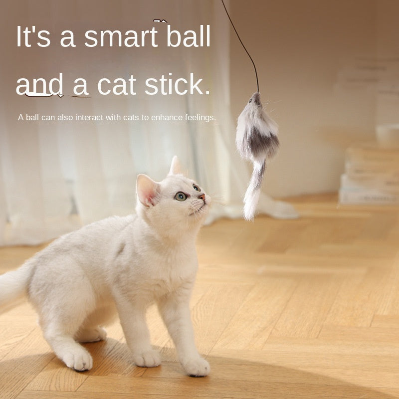 Elektrischer Katzenball – Selbstbeschäftigung, Automatisch & Interaktiv