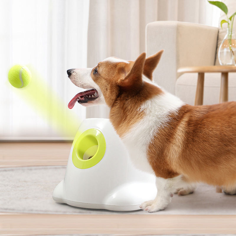 Automatischer Ballwerfer für Hunde – Leicht & Kompakt