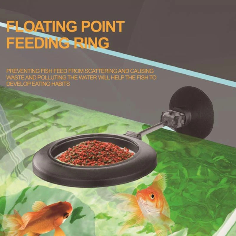 Aquarium Futternapf Acryl – Transparent, für Garnelen, Schnecken & Fische