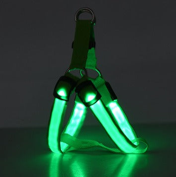 LED Leuchtgeschirr für Hunde – Sichtbar bei Nacht, für mittlere & grosse Hunde