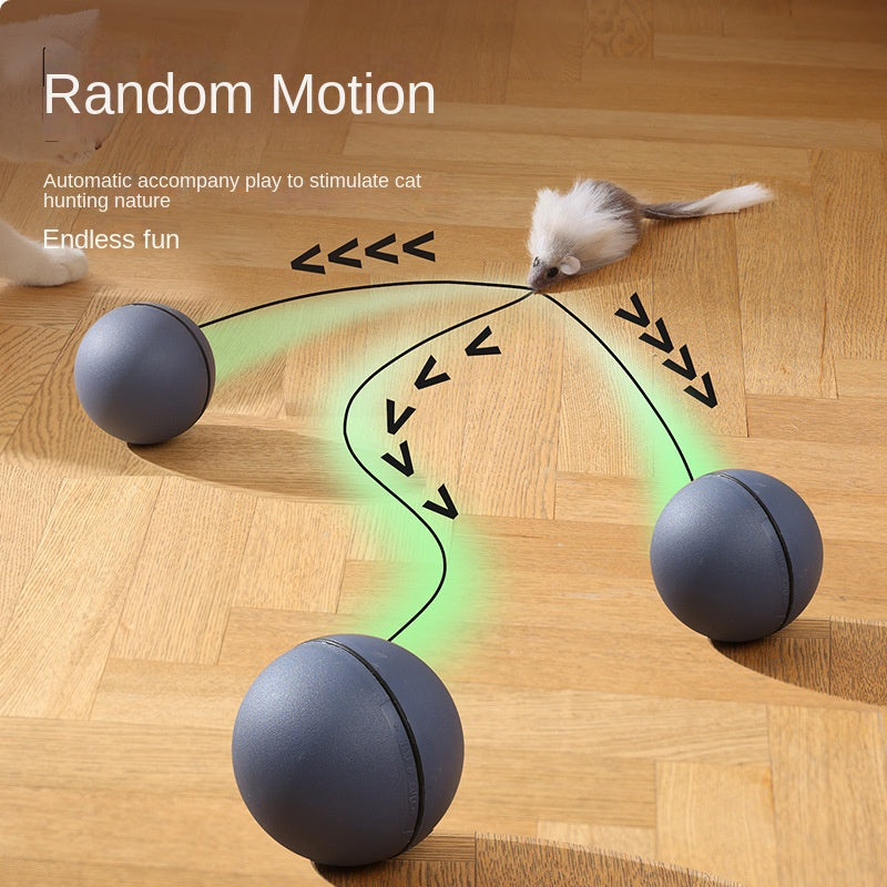 Elektrischer Katzenball – Selbstbeschäftigung, Automatisch & Interaktiv