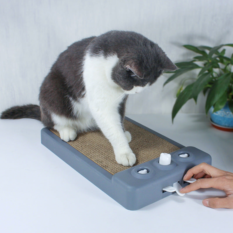 Kratzbrett für Katzen – Wellpappe, Multifunktional & Gegen Langeweile