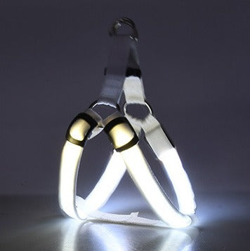 LED Leuchtgeschirr für Hunde – Sichtbar bei Nacht, für mittlere & grosse Hunde