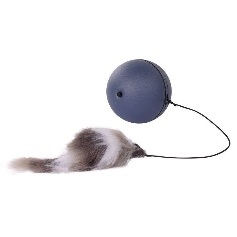 Elektrischer Katzenball – Selbstbeschäftigung, Automatisch & Interaktiv