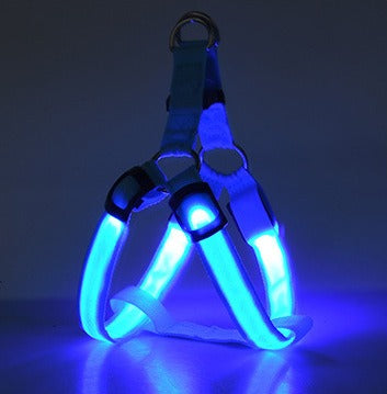 LED Leuchtgeschirr für Hunde – Sichtbar bei Nacht, für mittlere & grosse Hunde