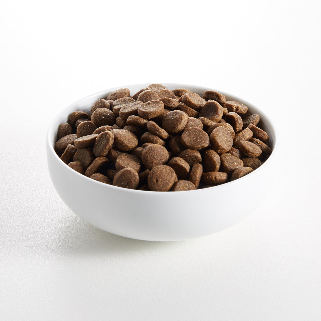 Lachs & Weissfisch Trockenfutter für Hunde