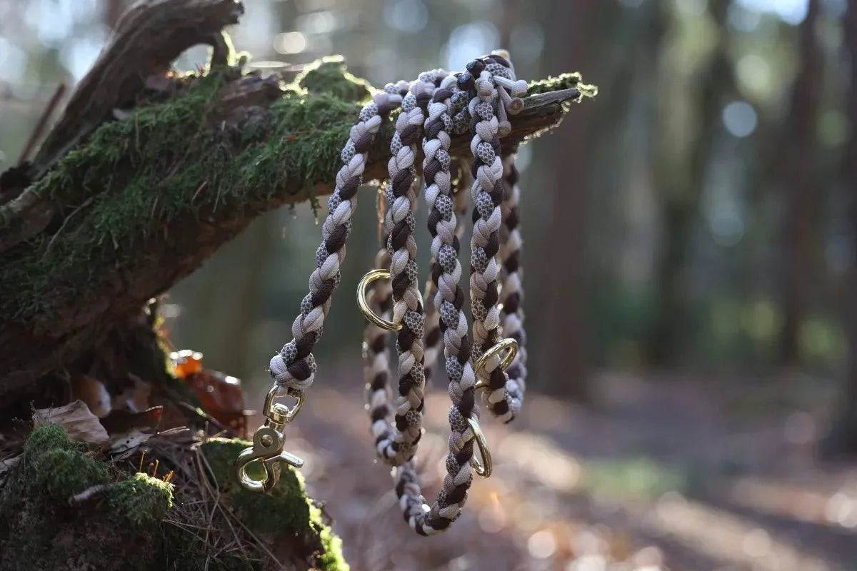 Hundeleine "Cappuccino" aus Paracord