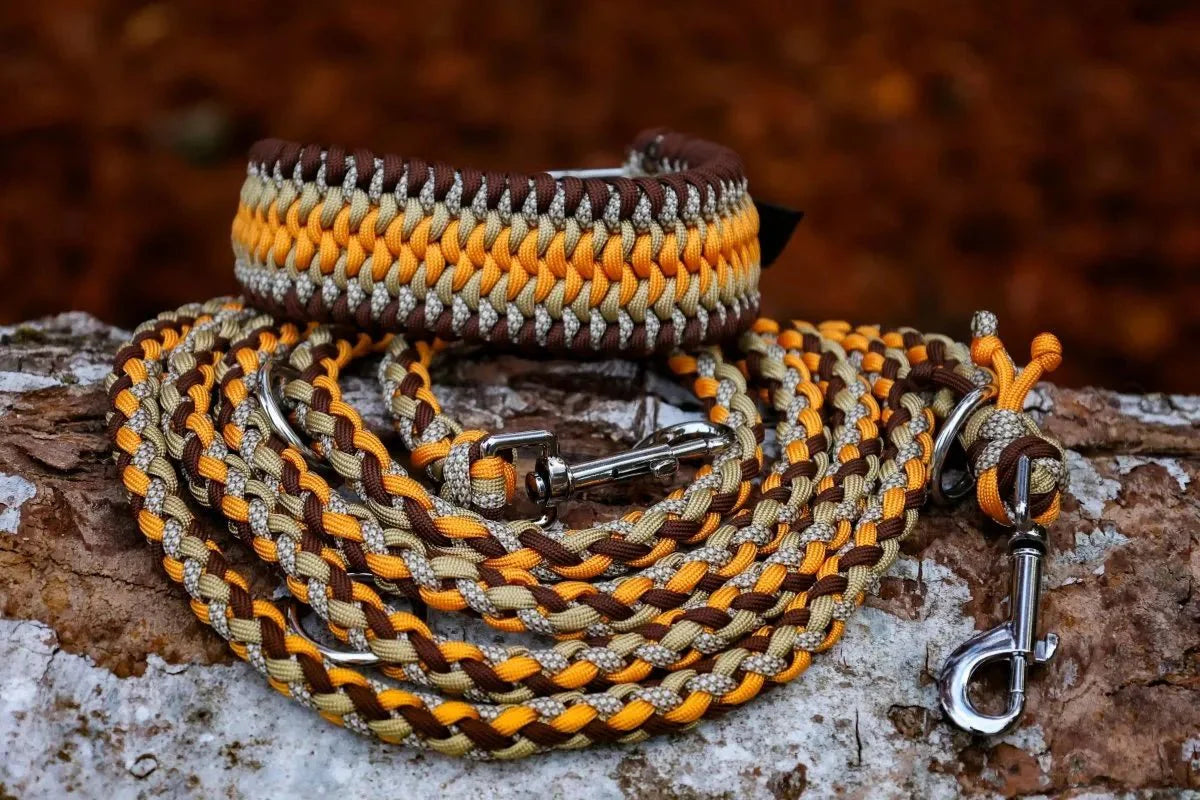 Hundeleine "Golden Autumn" aus Paracord
