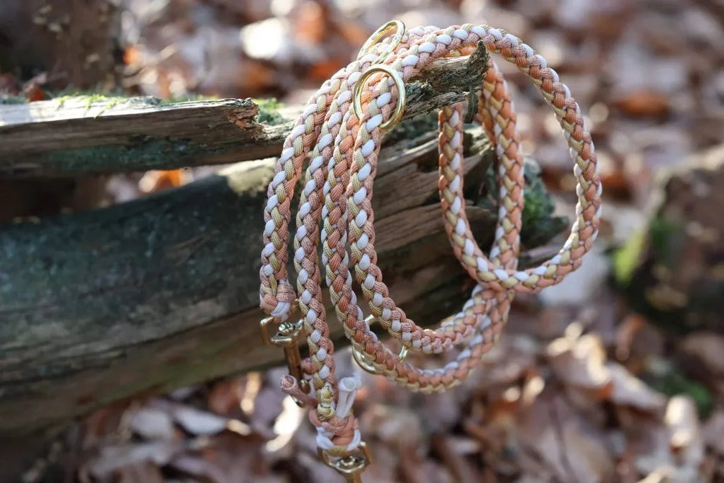 Hundeleine "Mayla" aus Paracord