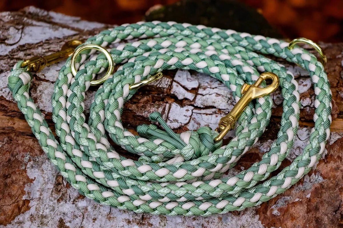 Hundeleine "Shining Green" aus Paracord