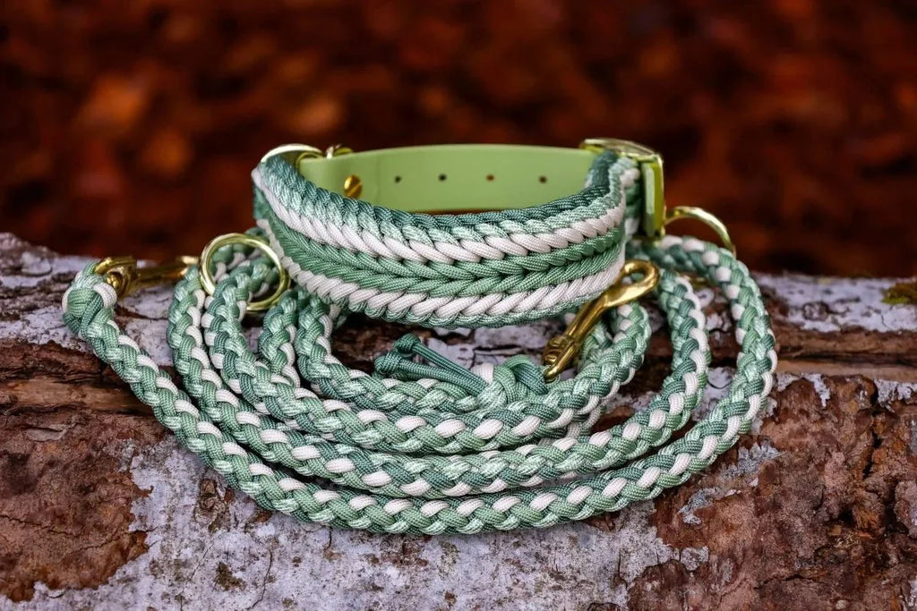 Hundeleine "Shining Green" aus Paracord