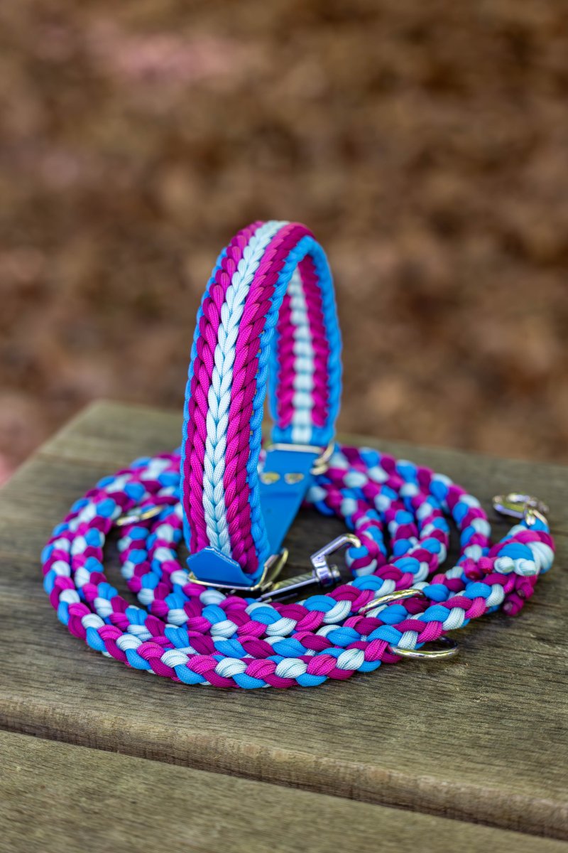 Hundeleine "Aurora Bloom" aus Paracord