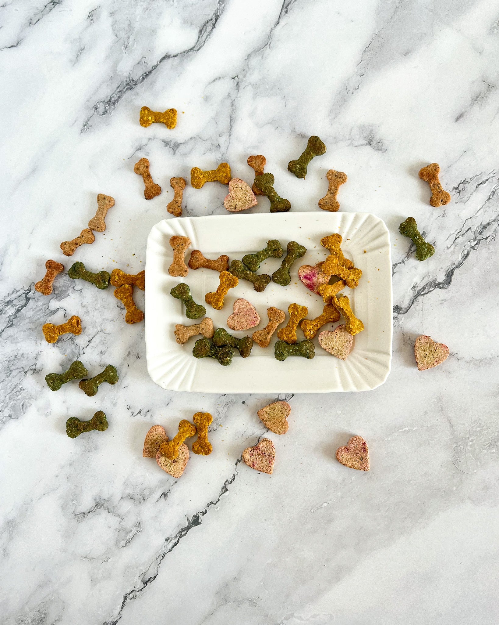 Superfood-Hundeleckerlis