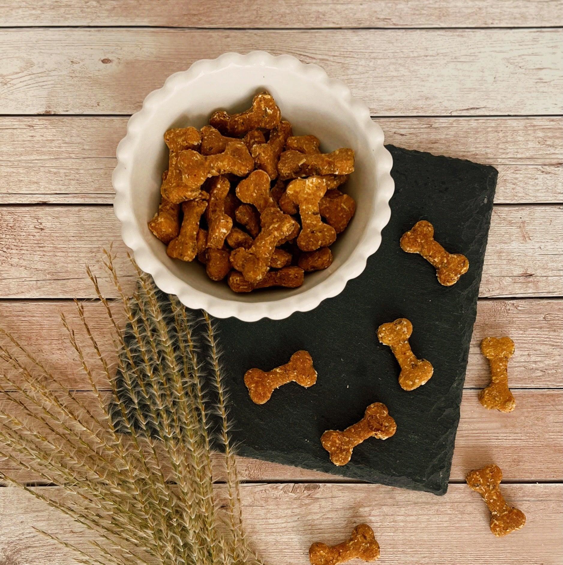 Süße Puptato Kokoschips Hundeleckerlis