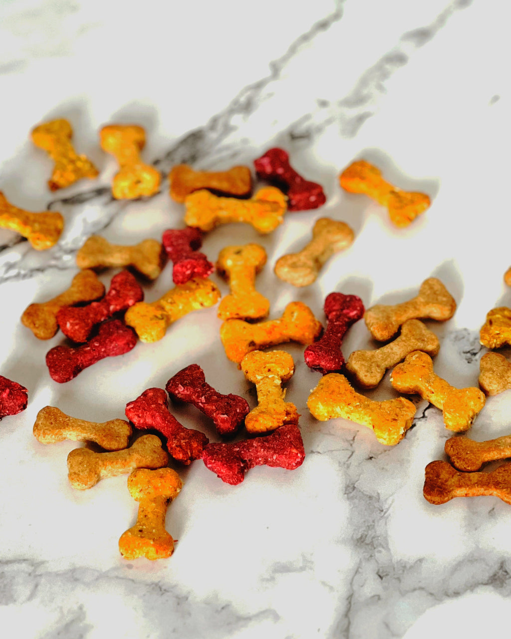 Immunstärkende Hundeleckerlis | Vegan
