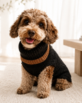 Kaschmirsweater Hund Colorado
