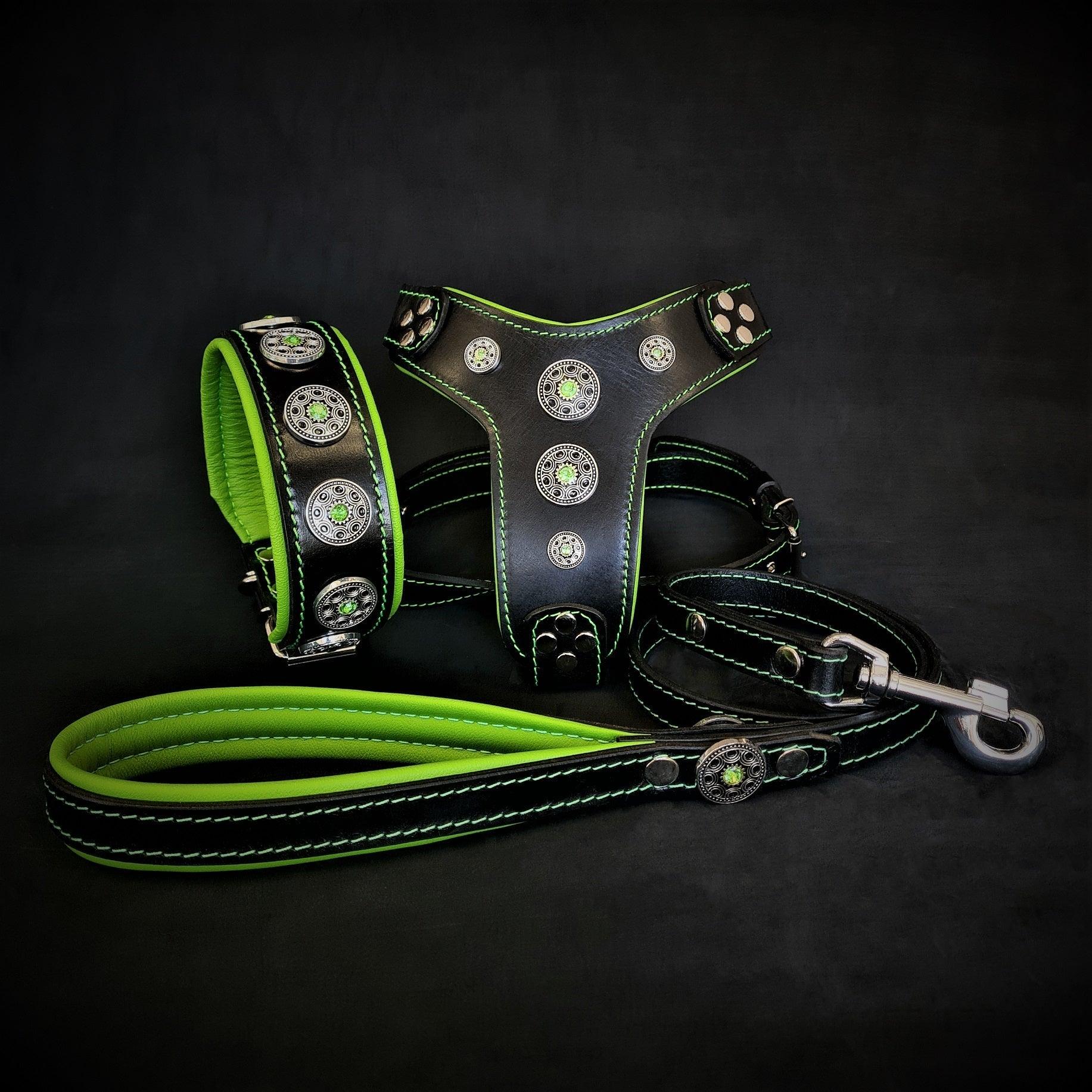 Bijou Set – Halsband, Geschirr & Leine Grün