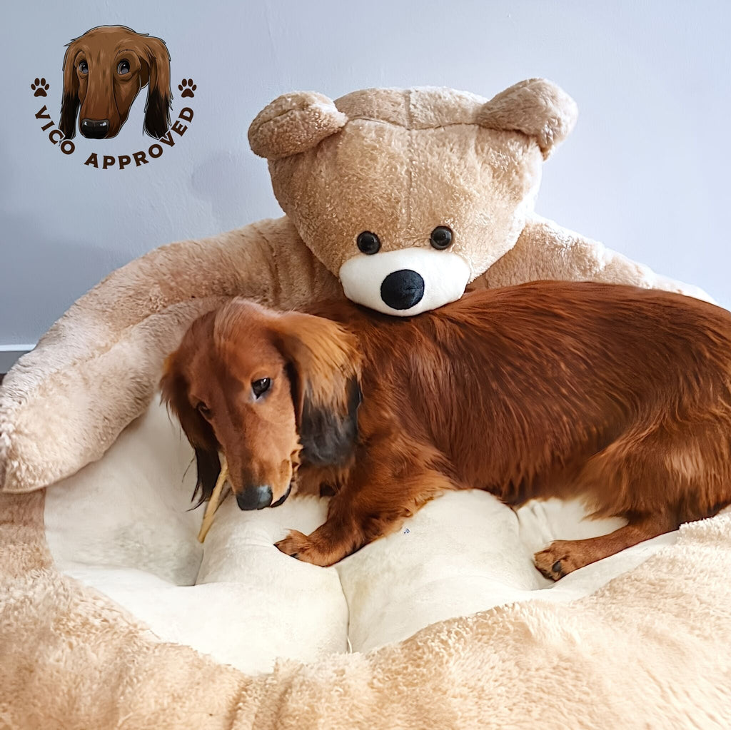 BearHug Dog Sofa